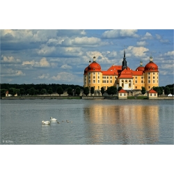 Schloss Moritzburg